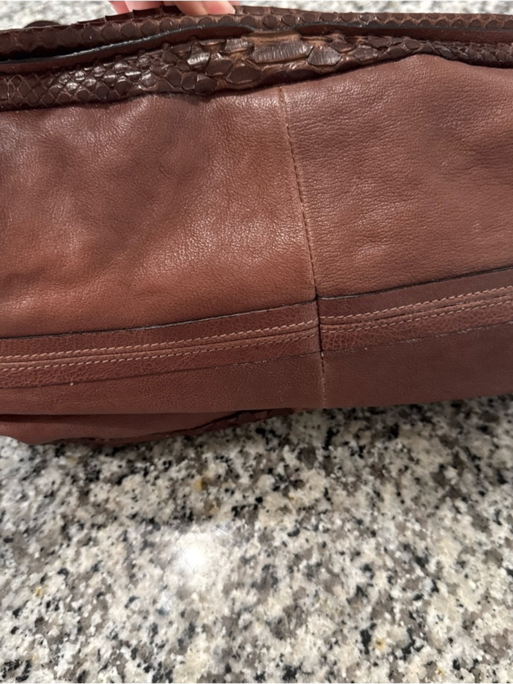 Chloe Brown Python-Textured Hobo with Gold Hardware - Picture 12 of 15